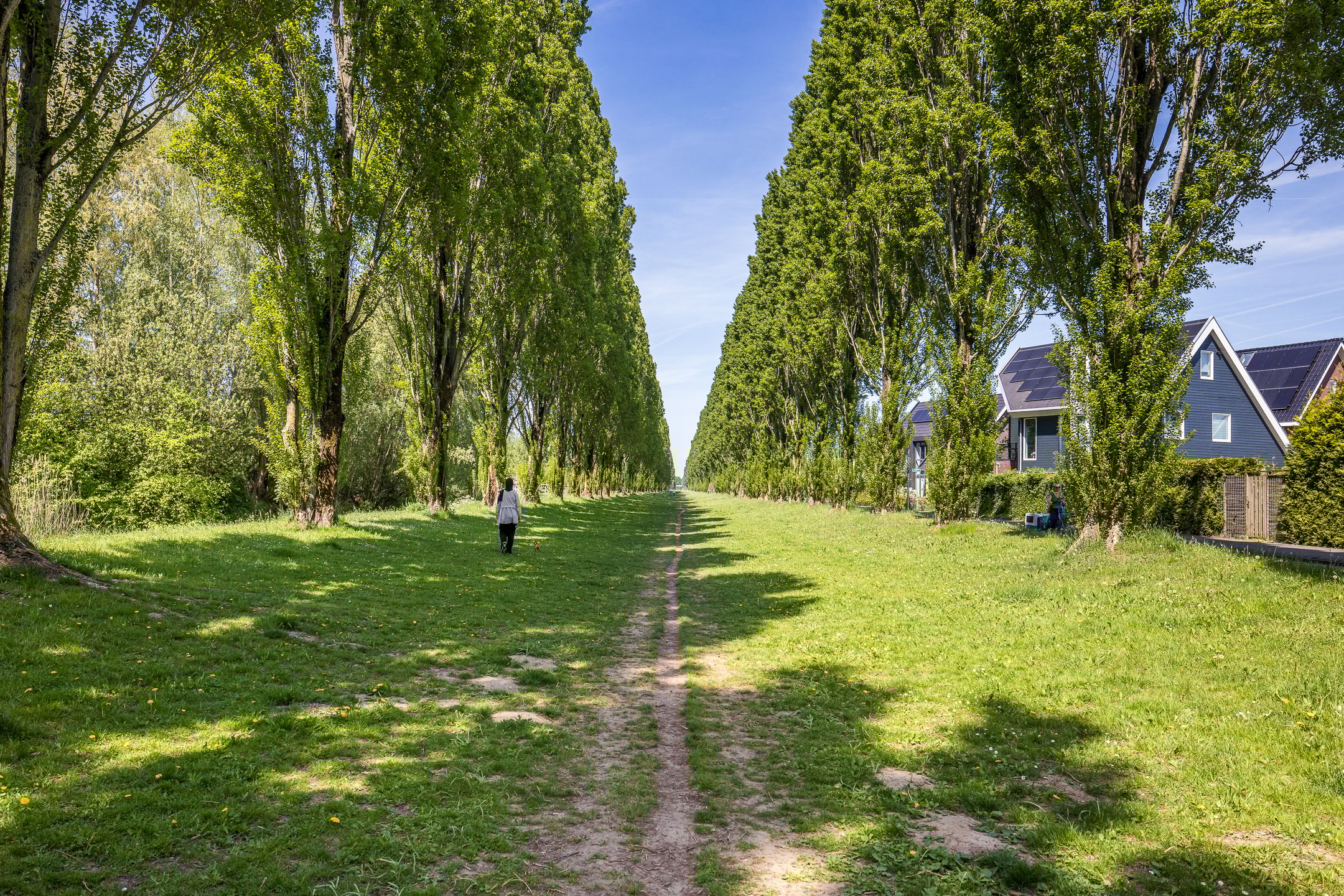 Foto 33 van Pimentweg 3