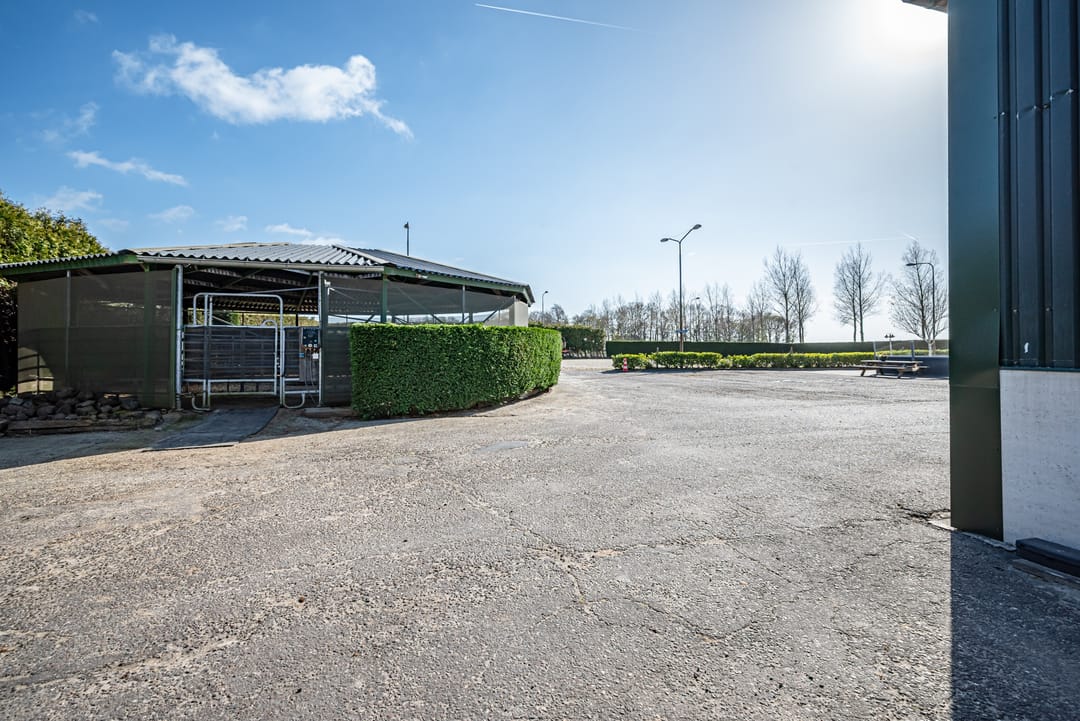 Foto 11 van Zuidermiddenweg 17-1