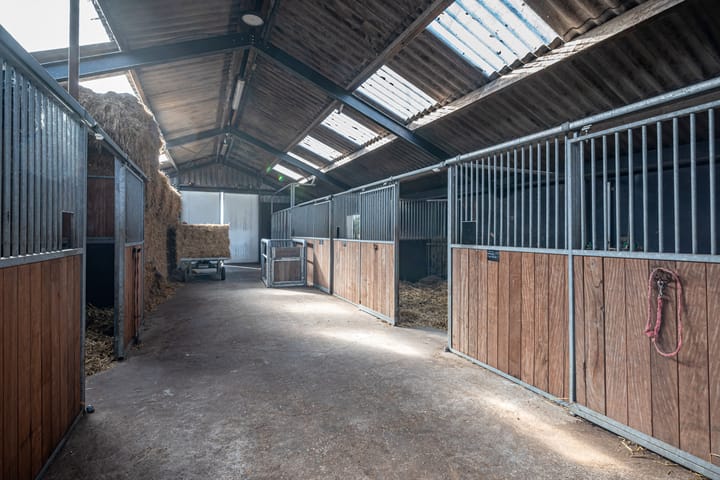 Foto 14 van Zuidermiddenweg 17-1