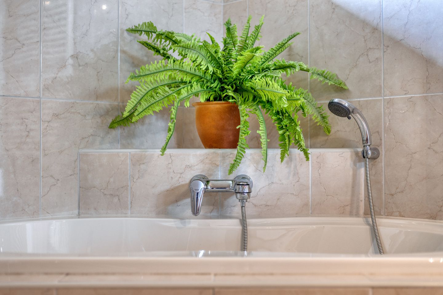 Photo 19 of Gronausestraat 221