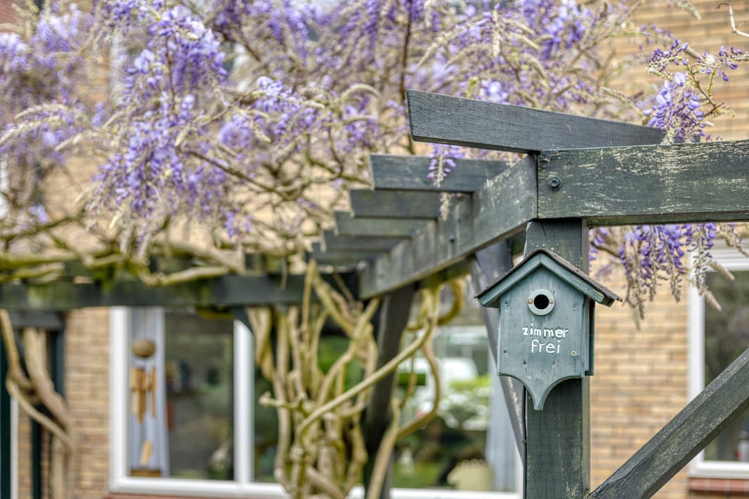 Photo 28 of Gronausestraat 221