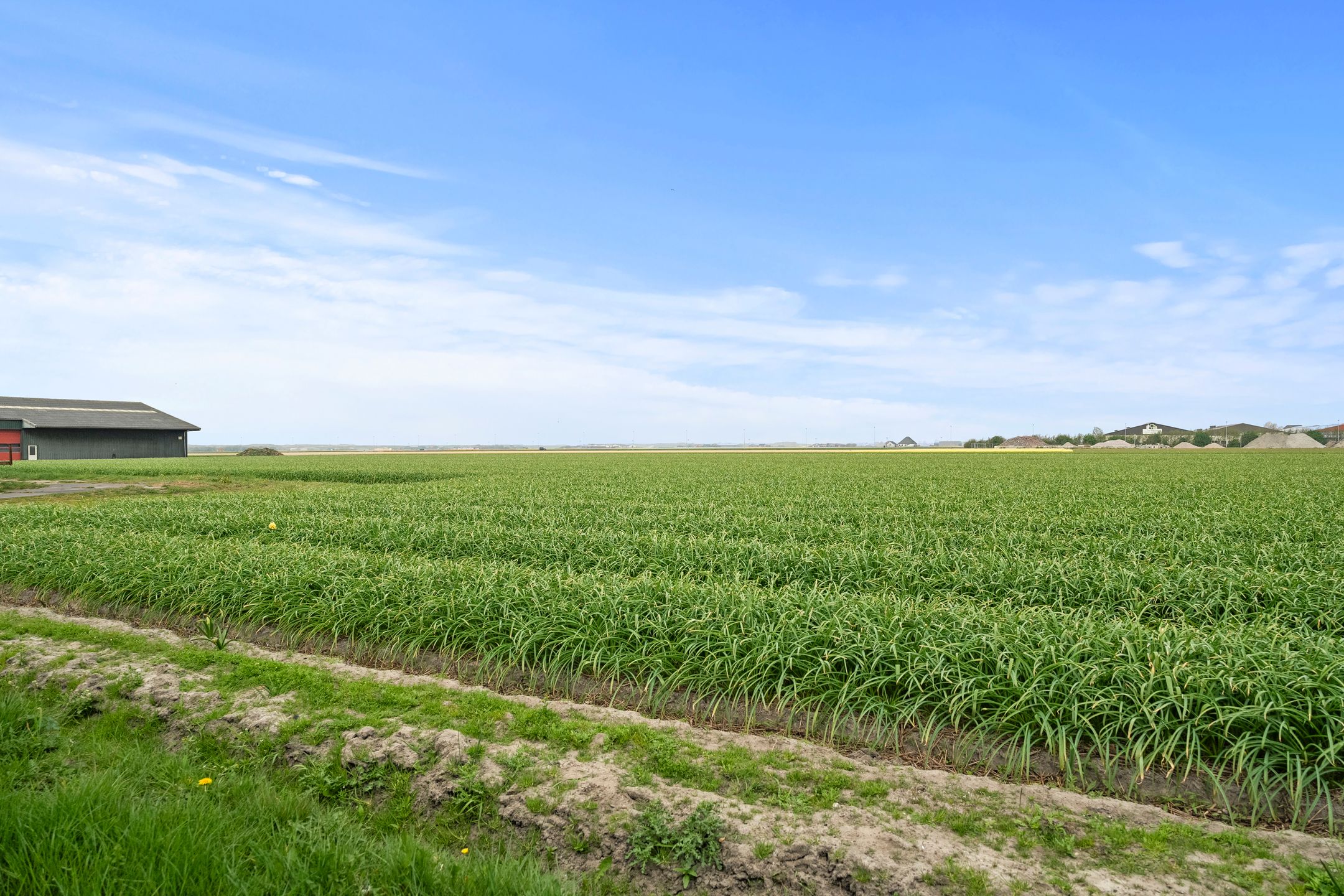 Photo 21 of Van Foreestweg 103