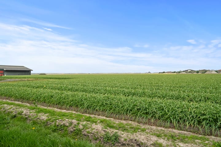 Foto 21 van Van Foreestweg 103