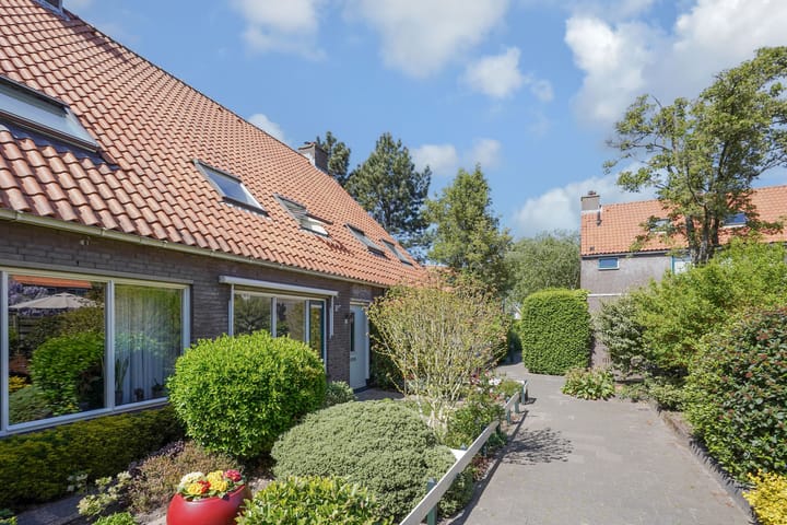 Foto 44 van Dovenetel 19