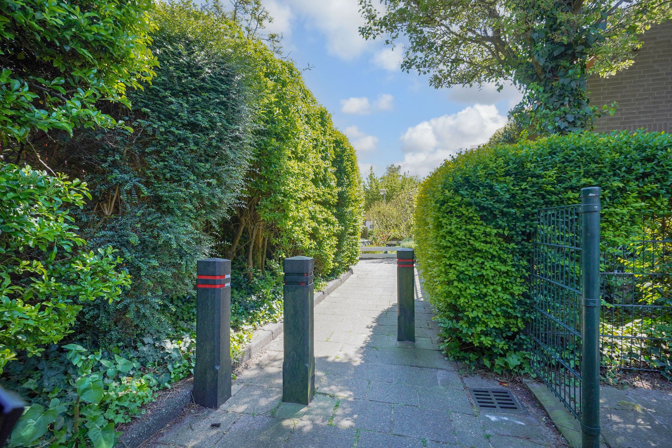 Photo 45 of Dovenetel 19