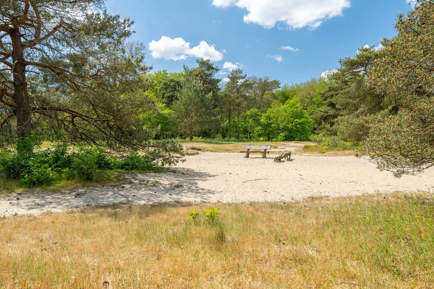 Foto 4 van Ruiterweg 15