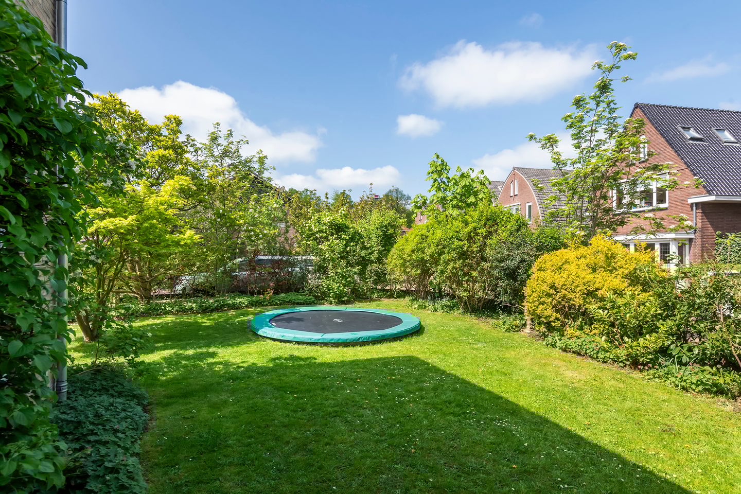 Foto 4 van Dokter Biegelstraat 18