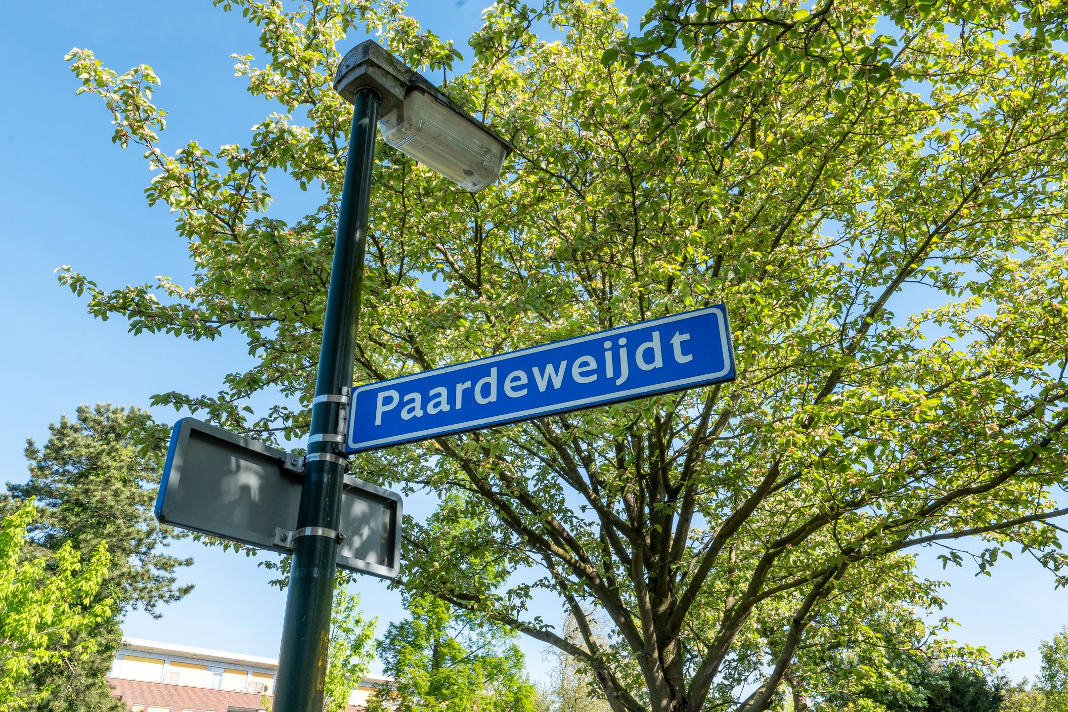 Foto 45 van Paardeweijdt 4