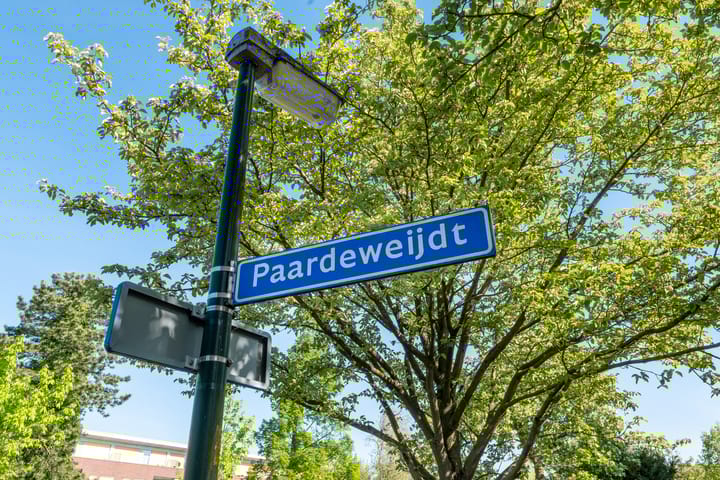 Foto 45 van Paardeweijdt 4