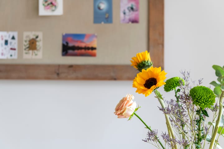 Foto 24 van Dokter Biegelstraat 18