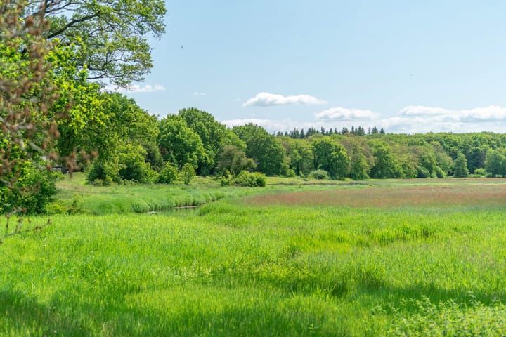 Foto 61 van Ruiterweg 15