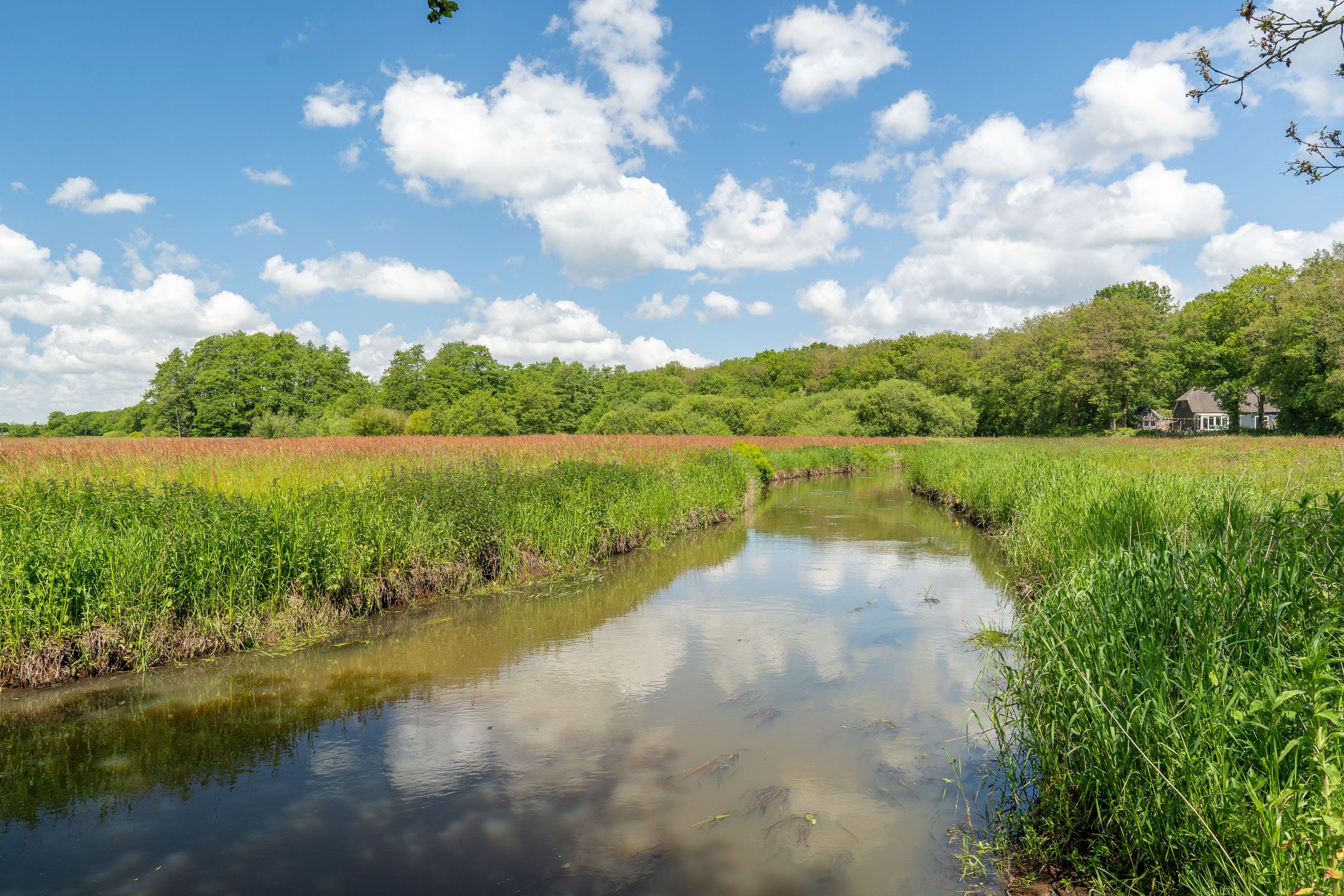 Foto 63 van Ruiterweg 15