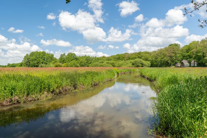 Foto 63 van Ruiterweg 15