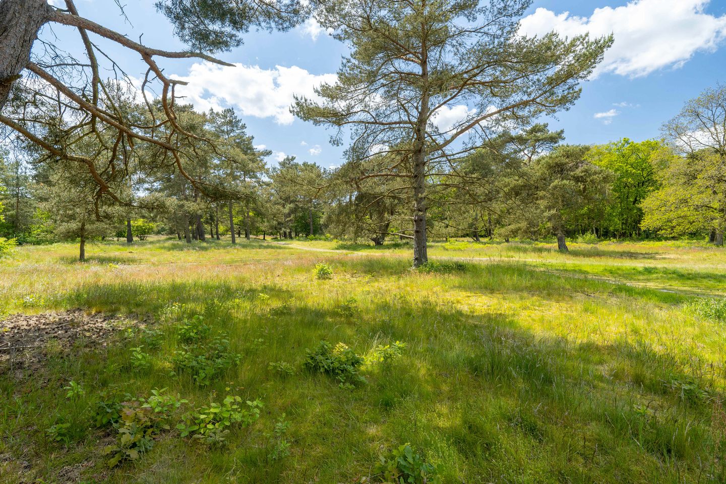 Foto 65 van Ruiterweg 15