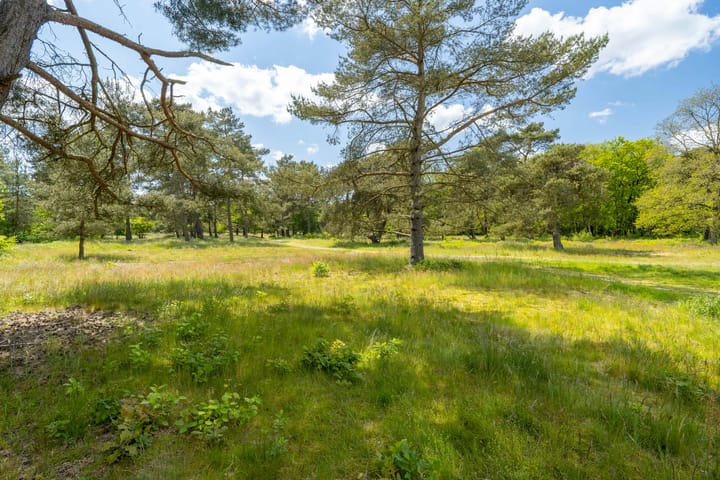 Foto 65 van Ruiterweg 15