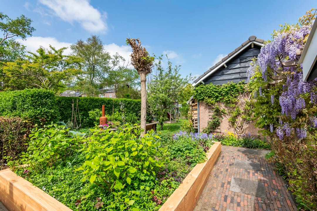 Foto 61 van Dokter Biegelstraat 18