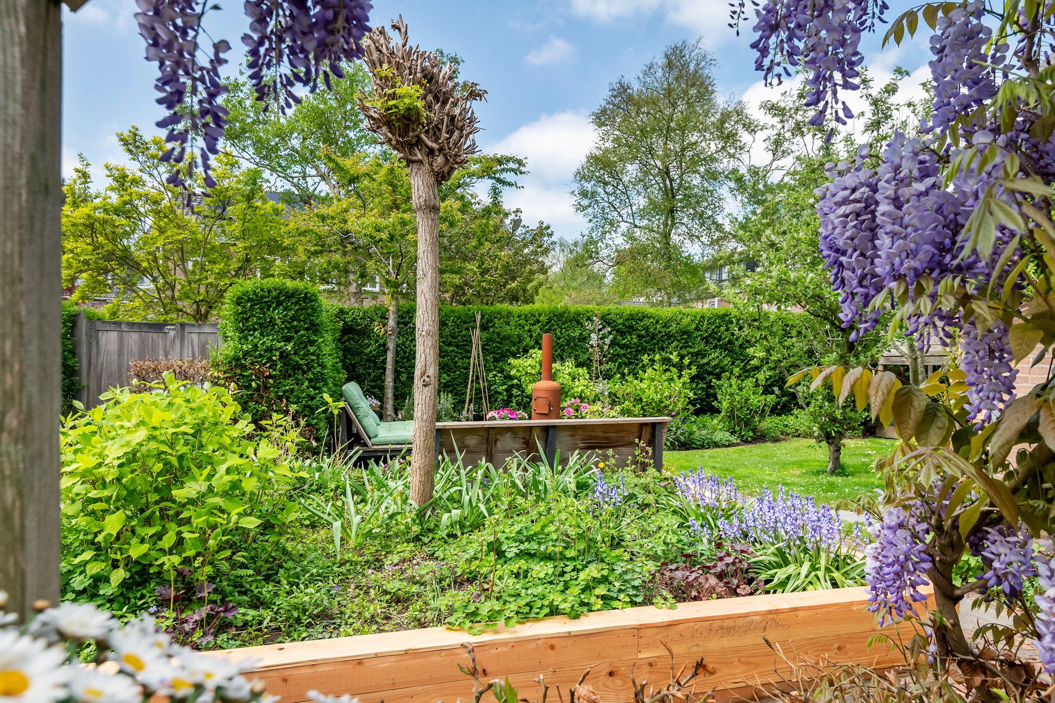 Foto 63 van Dokter Biegelstraat 18