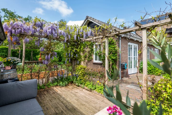 Foto 64 van Dokter Biegelstraat 18