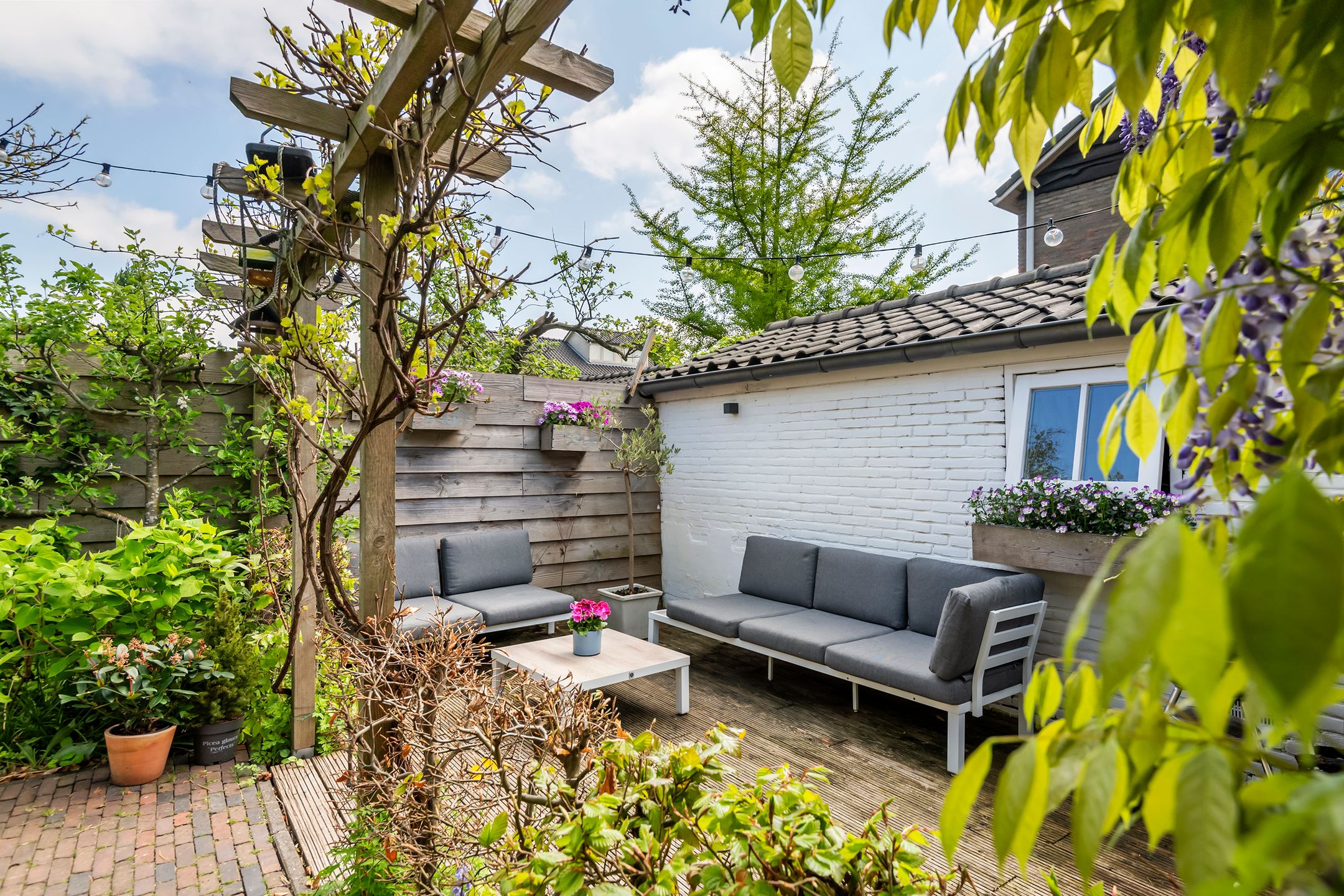 Foto 66 van Dokter Biegelstraat 18