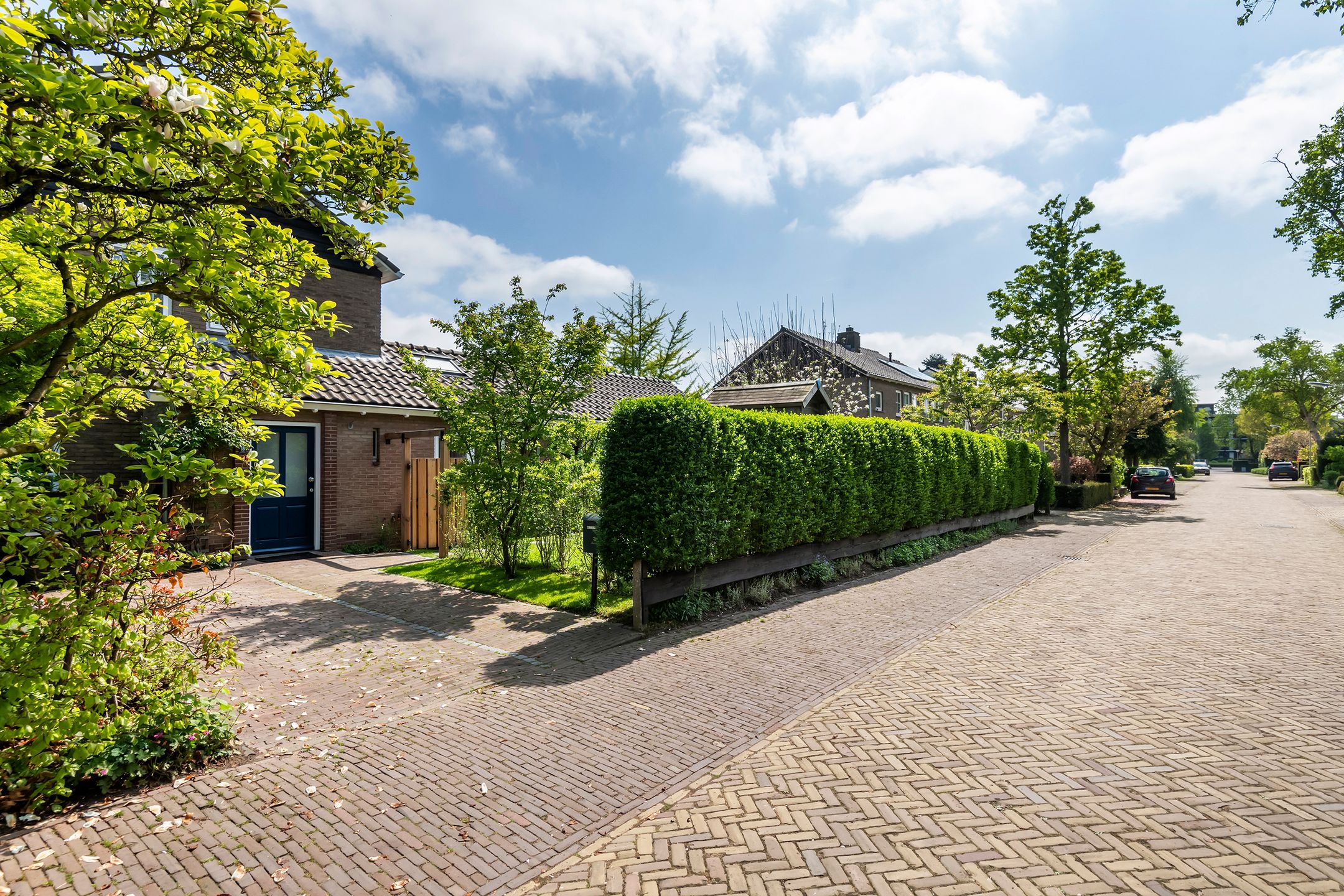 Foto 69 van Dokter Biegelstraat 18