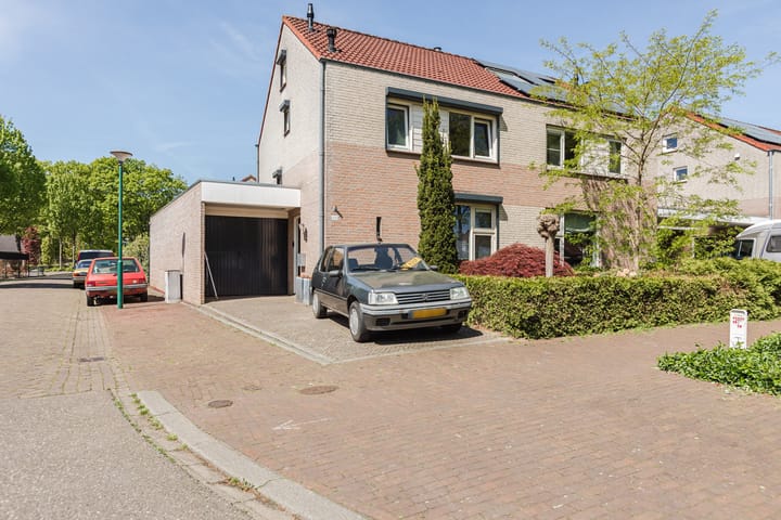Brugse Berg 100