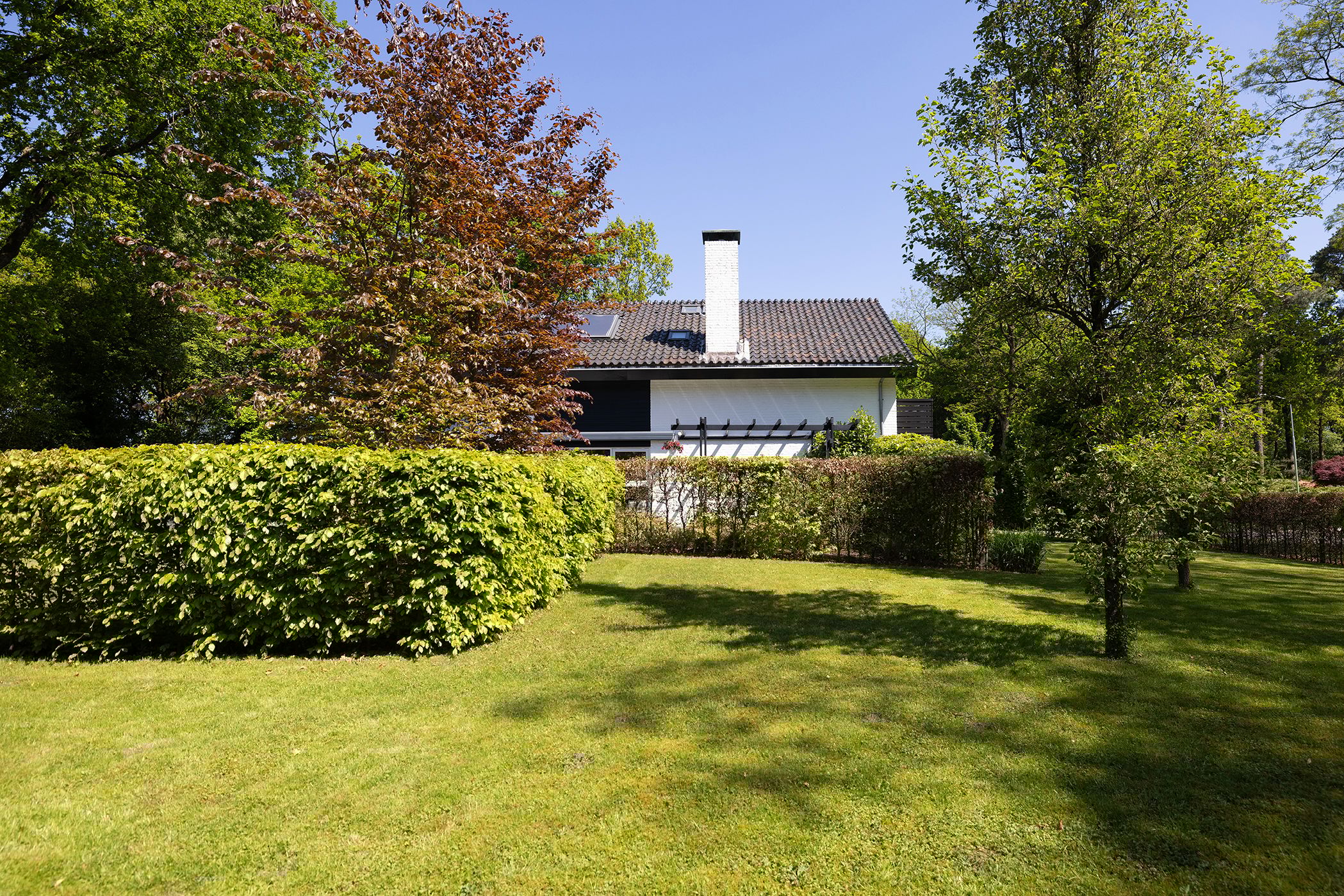 Photo 57 of Jachtlaan 1