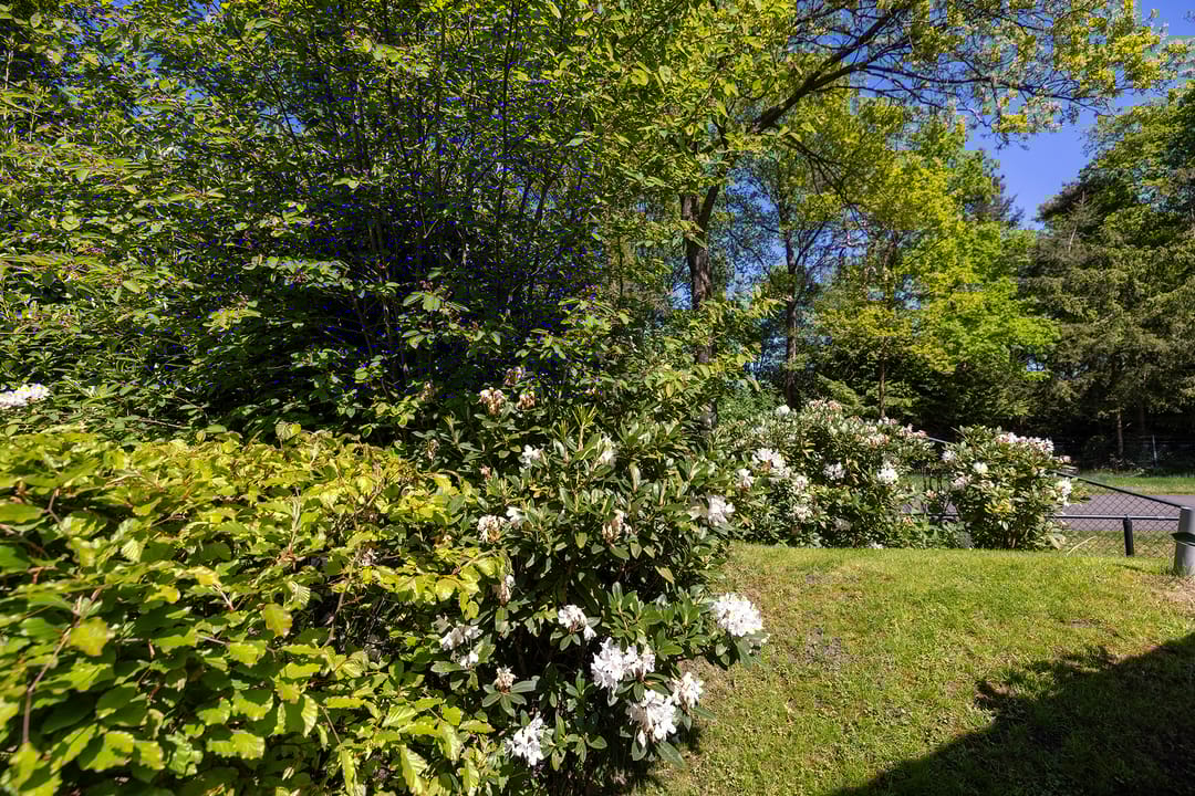 Photo 61 of Jachtlaan 1