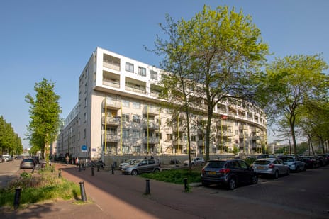 undefined main image