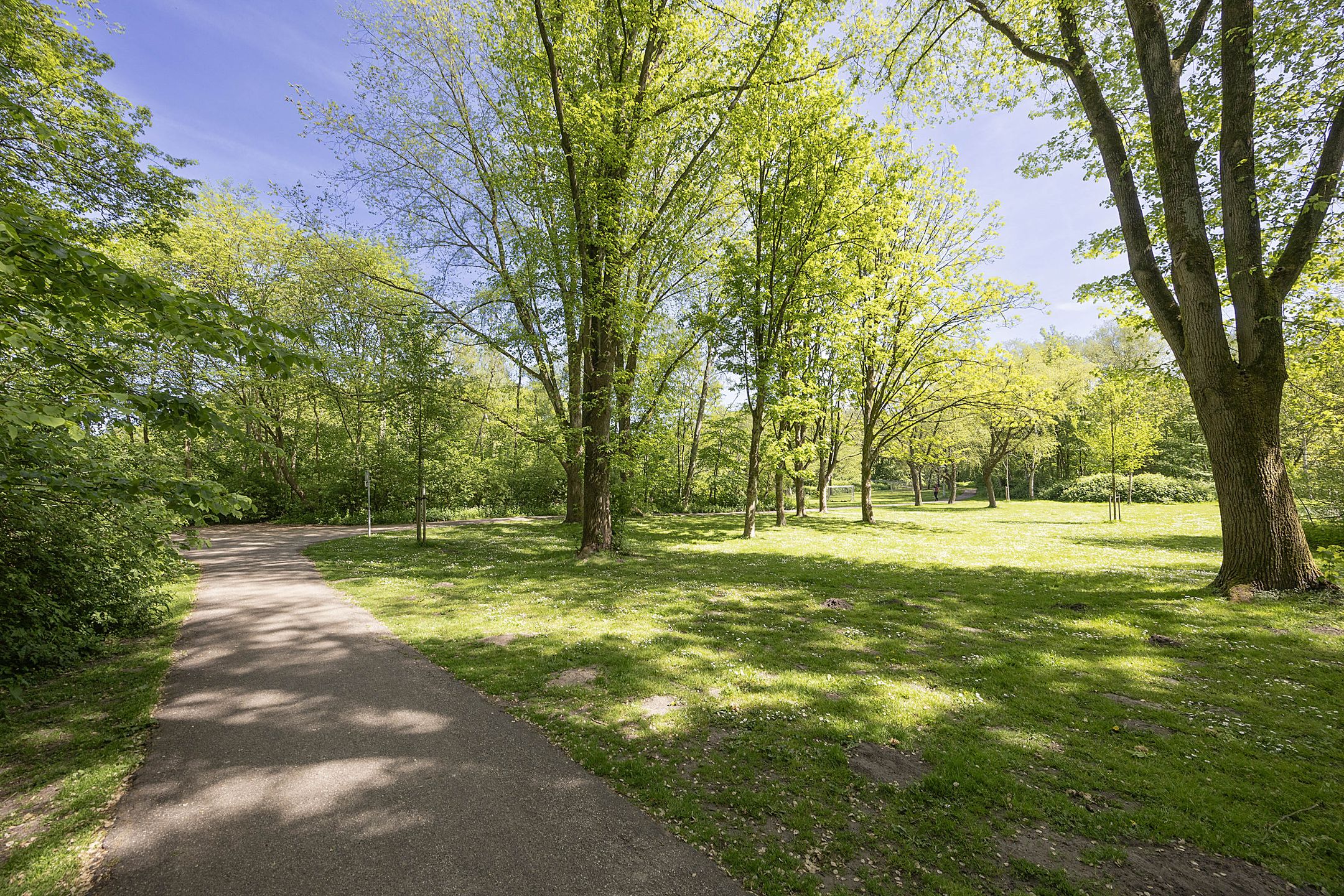 Photo 33 of Nachtwachtlaan 151