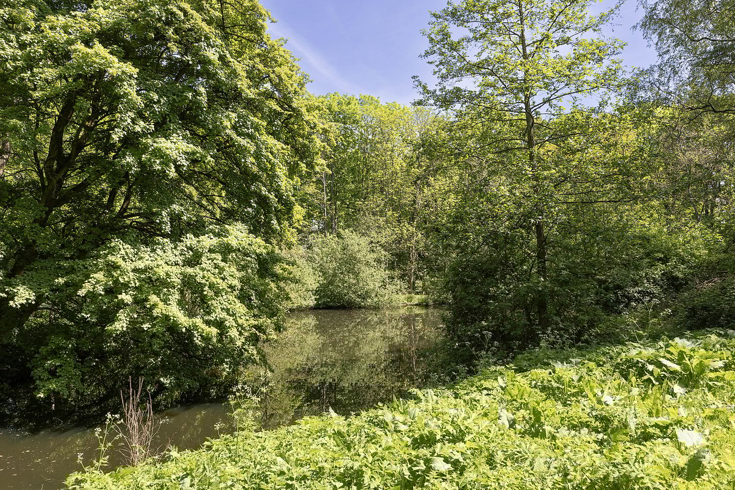 Photo 35 of Nachtwachtlaan 151