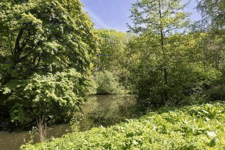 Foto 35 van Nachtwachtlaan 151