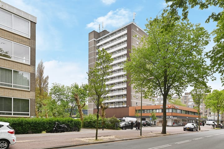 Foto 3 van Hengelolaan 1150-D