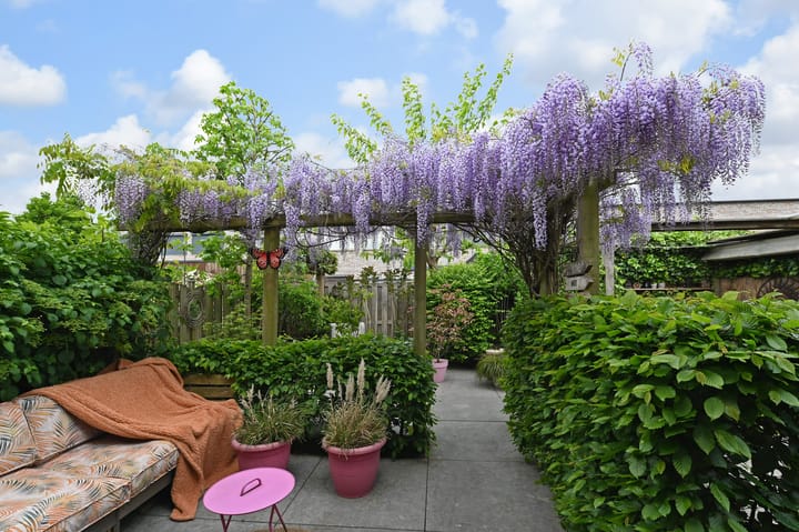 Photo 32 of Doesburgerpad 22