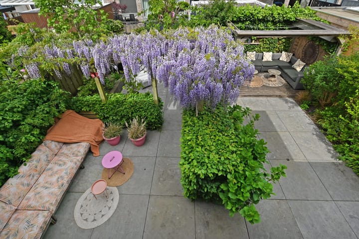 Photo 50 of Doesburgerpad 22