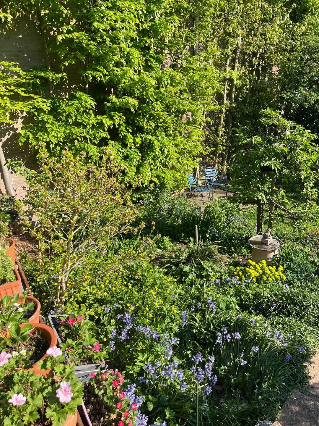 Foto 47 van Nieuwemeerdijk 13