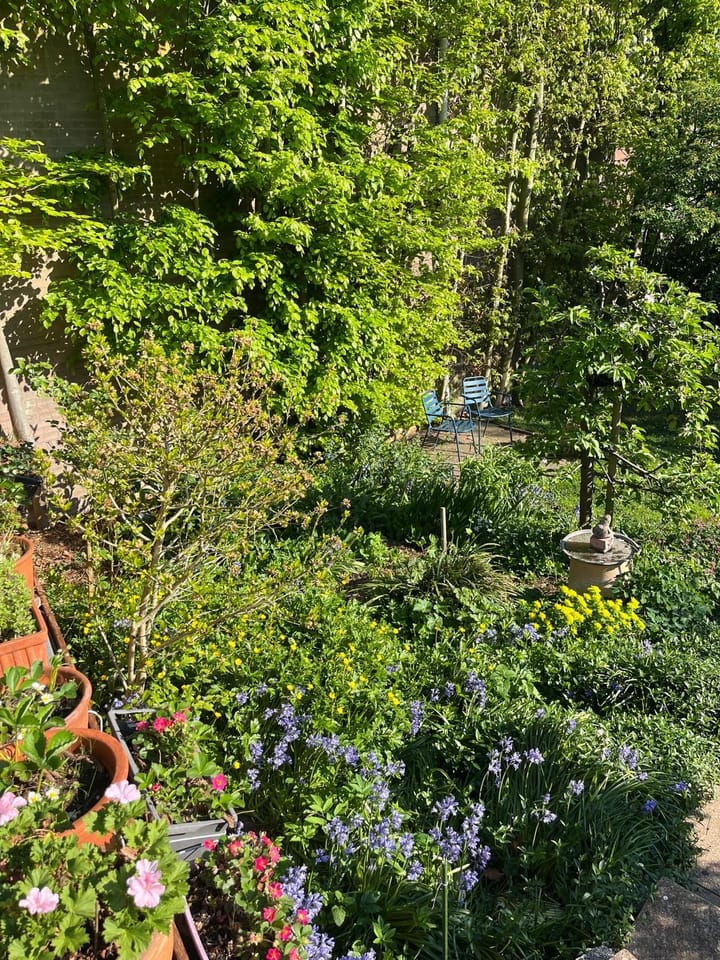 Foto 47 van Nieuwemeerdijk 13