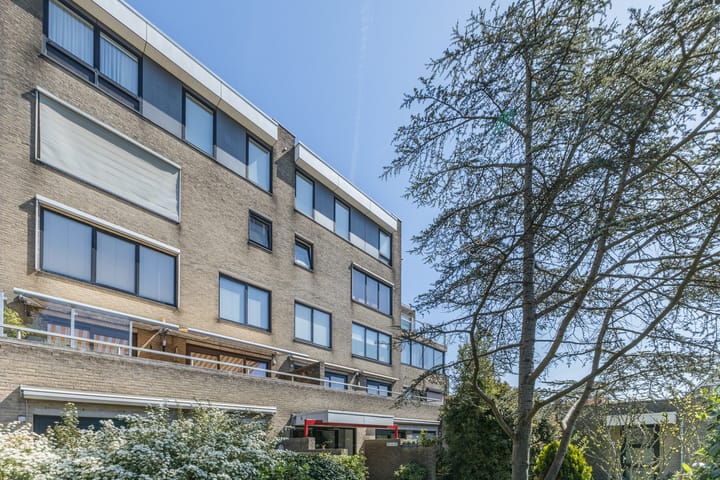 Foto 5 van Reviuslaan 102