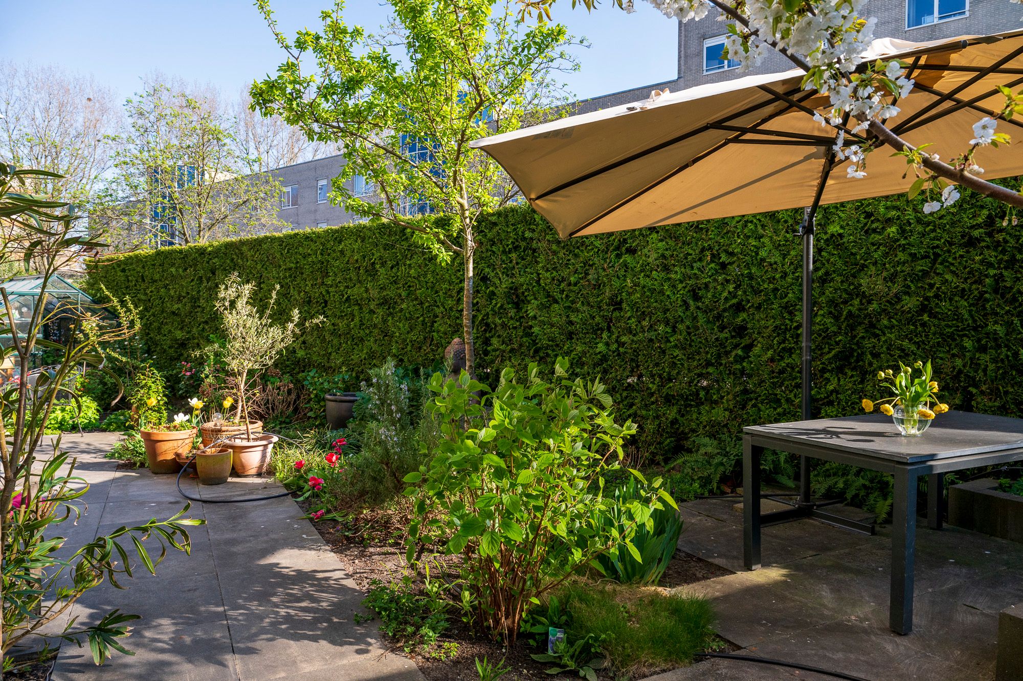 Foto 30 van Matenesse-hof 24