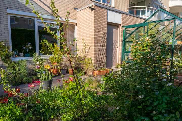 Foto 37 van Matenesse-hof 24