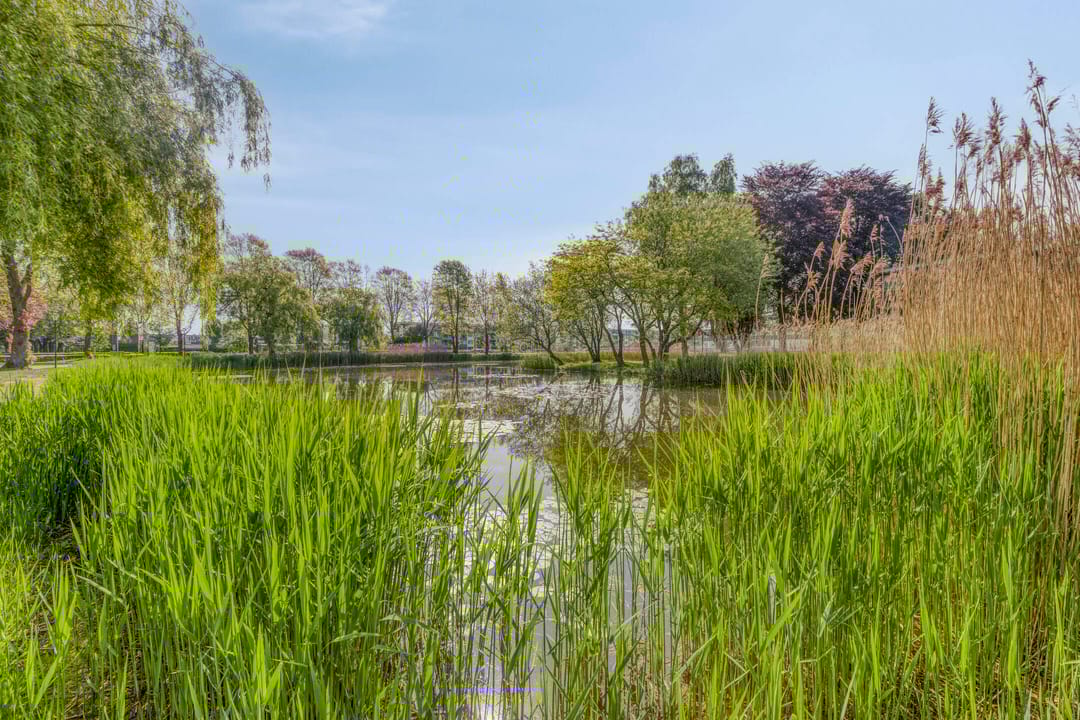 Foto 22 van Hertogenlaan 300