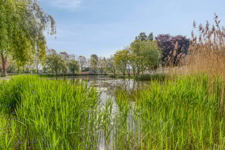 Foto 22 van Hertogenlaan 300