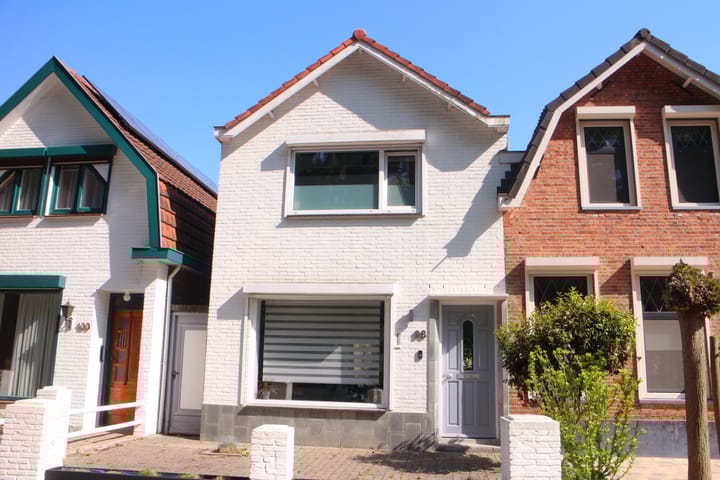 undefined main image