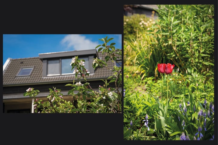 Foto 43 van Lingedijk 55