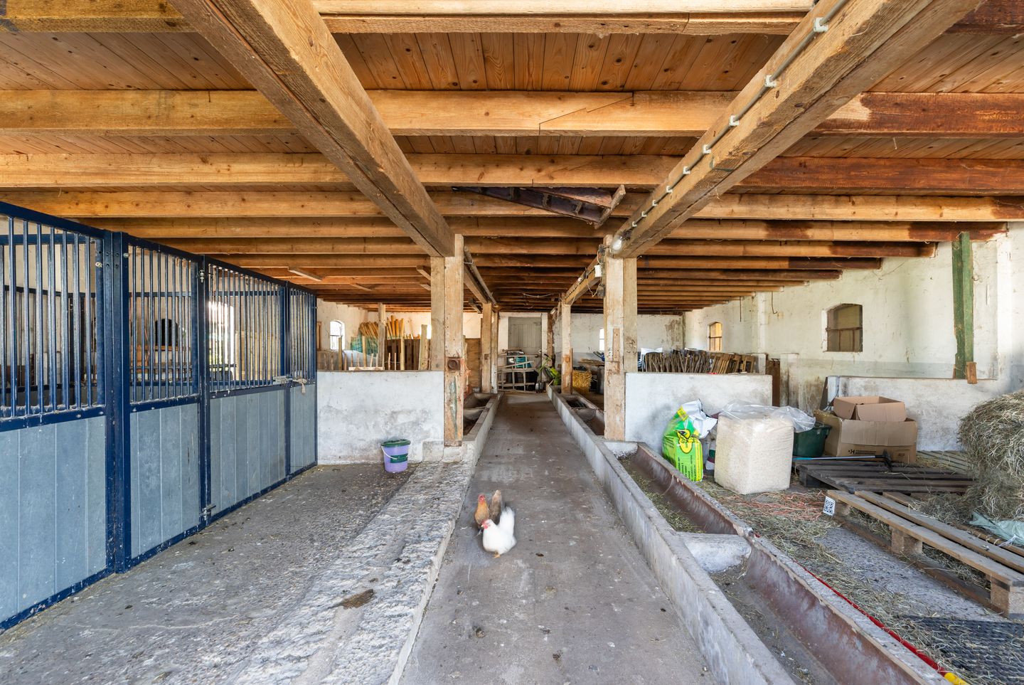 Photo 49 of Damweg 480-A