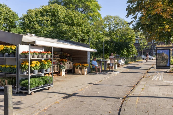 Foto 33 van Van Humboldtstraat 109