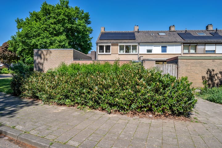 Photo 61 of Graaf Hendrik van den Bergstraat 11