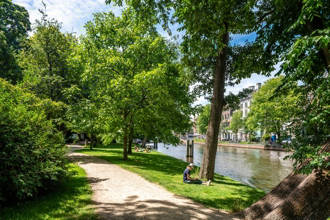 Foto 38 van Plantage Parklaan 30-1