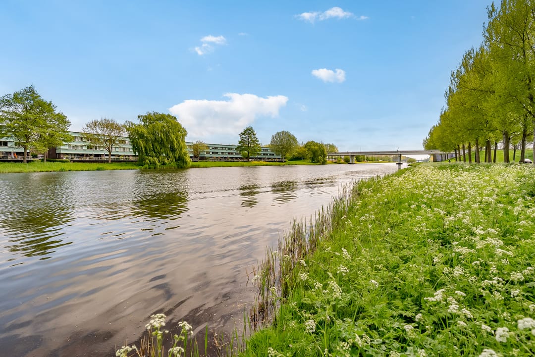 Foto 38 van Swingstraat 5