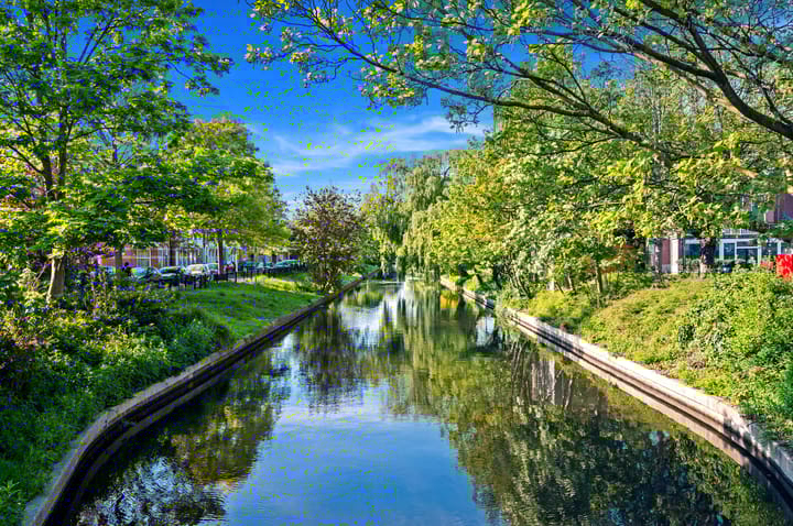 Foto 30 van Halleystraat 32