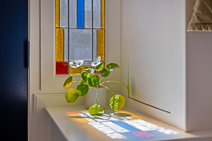 Foto 4 van Bredalaan 106